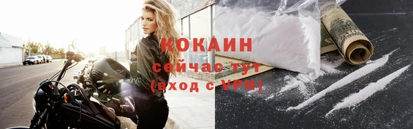 соль ск Белокуриха
