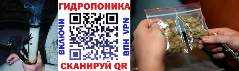 Шишки марихуана THC 21%  Красный Холм 